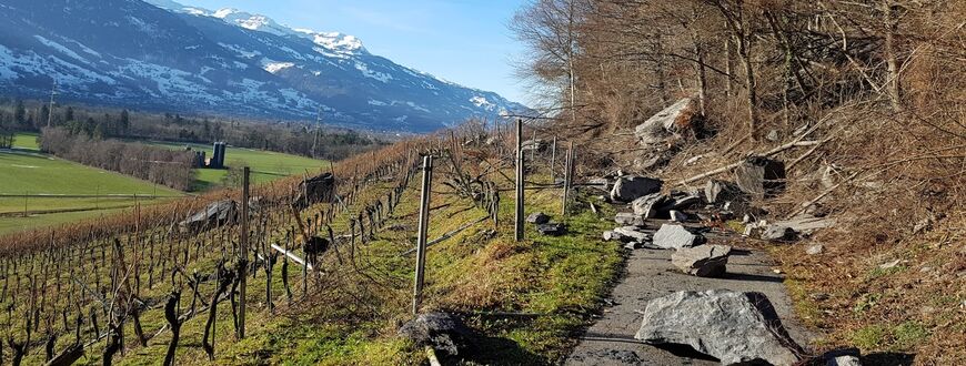 Felssturz Rebberg Fläsch